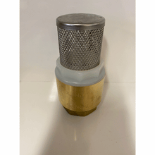 1" CHECK VALVE WITH FILTER