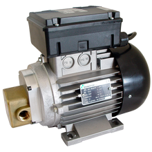 SELF SUCTION GEAR PUMP  EA-88 (0.74 kW) 230V AC